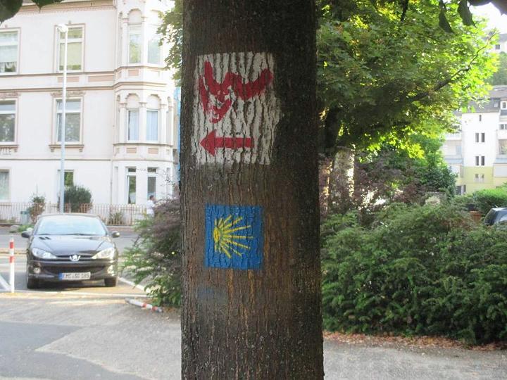 08.jpg