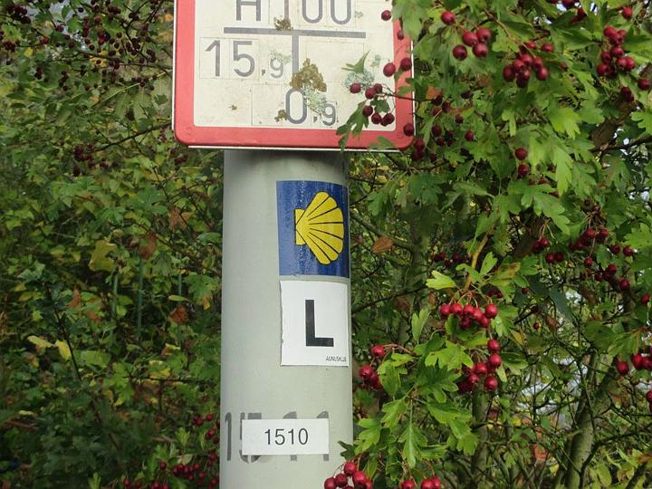 02.jpg