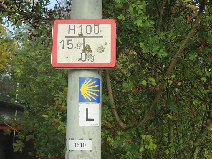 03.jpg