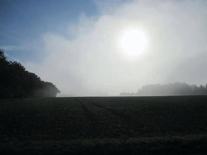05.jpg