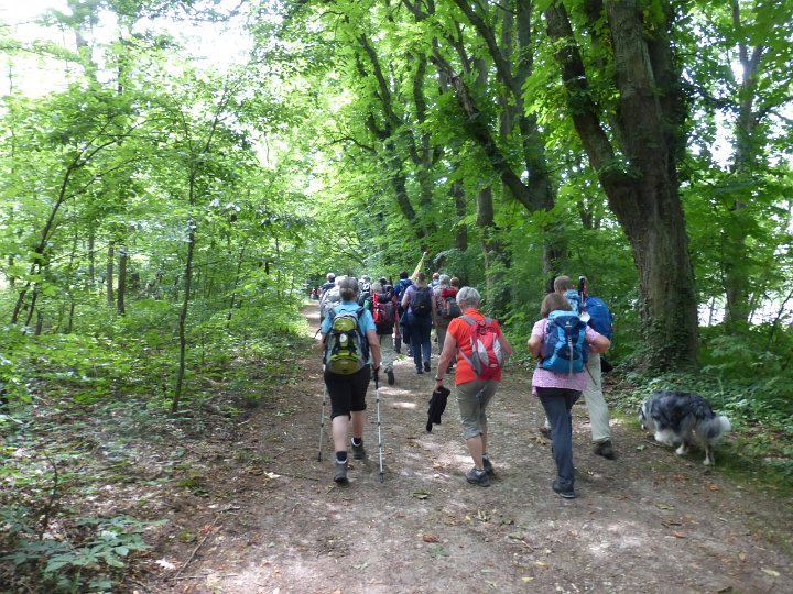 09.JPG