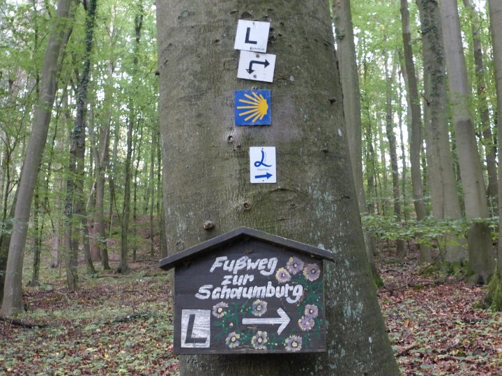07.JPG