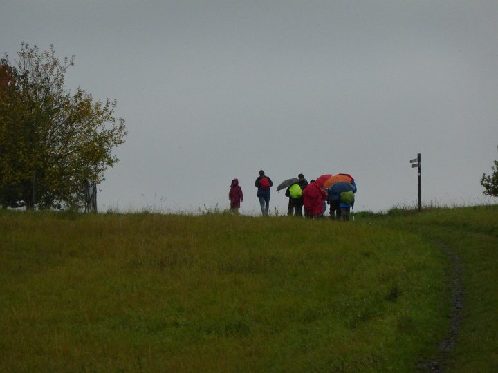 15.JPG